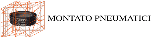 logo montato pneumatici